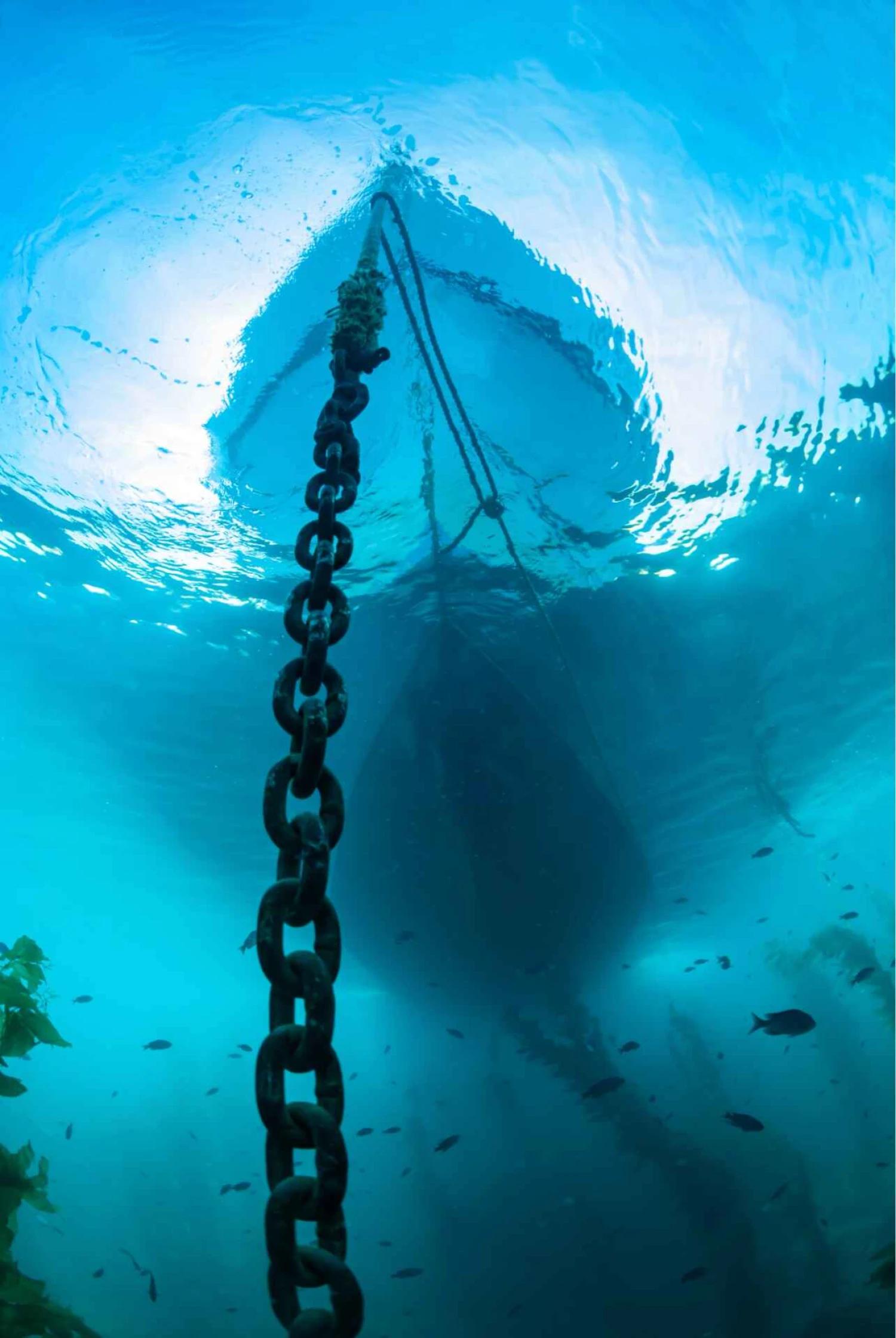Vessel anchored in water